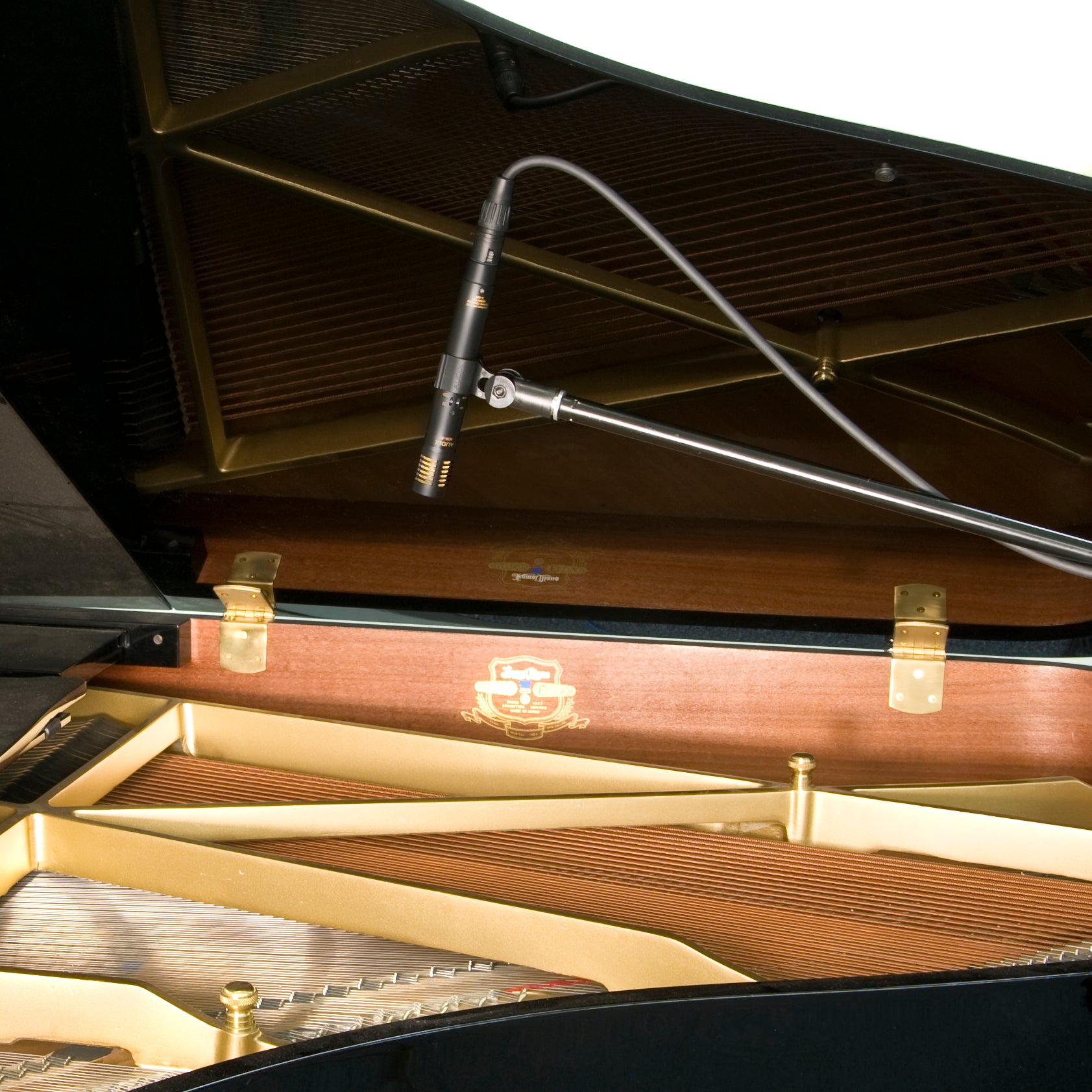 ADX51 – AUDIX