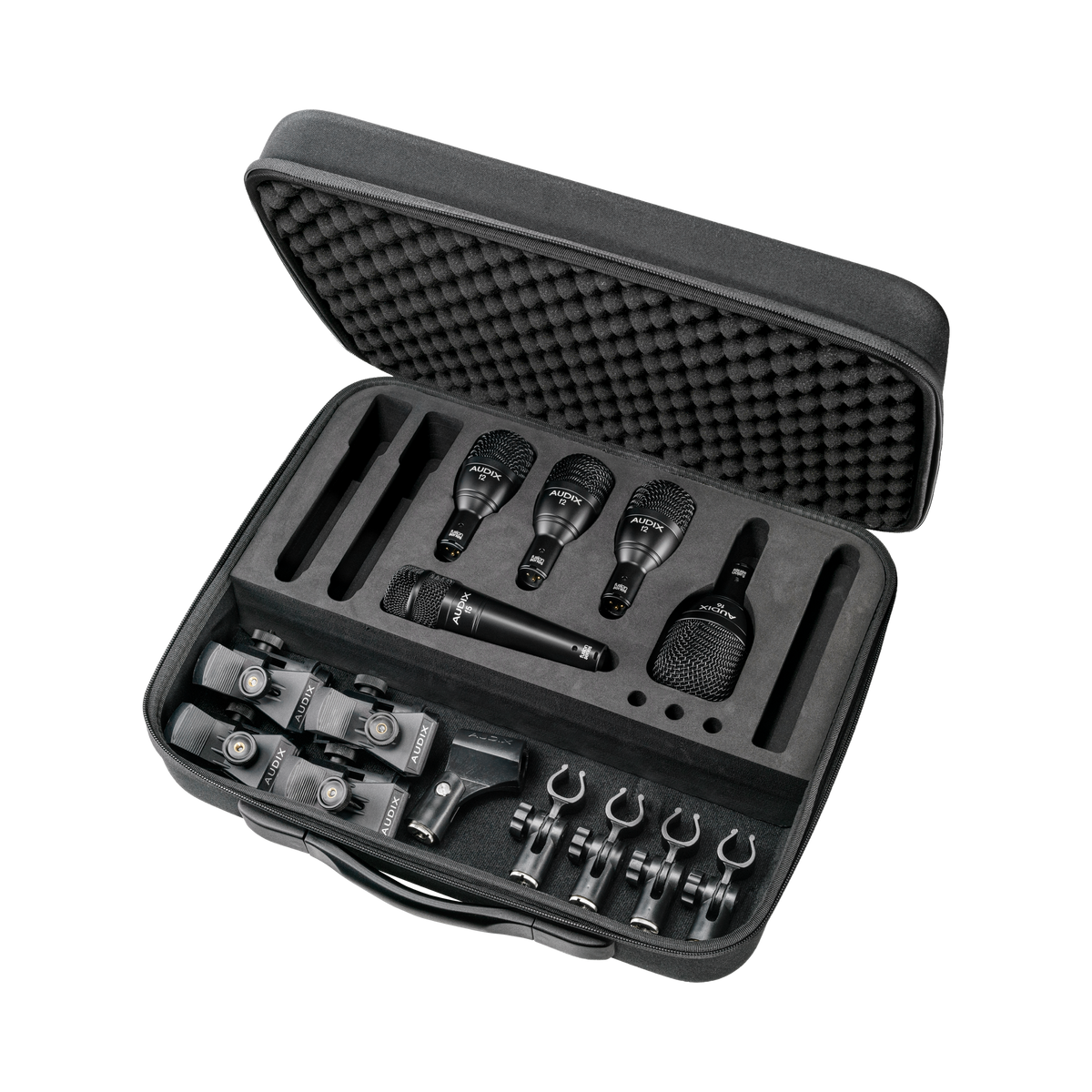 FP5 – AUDIX