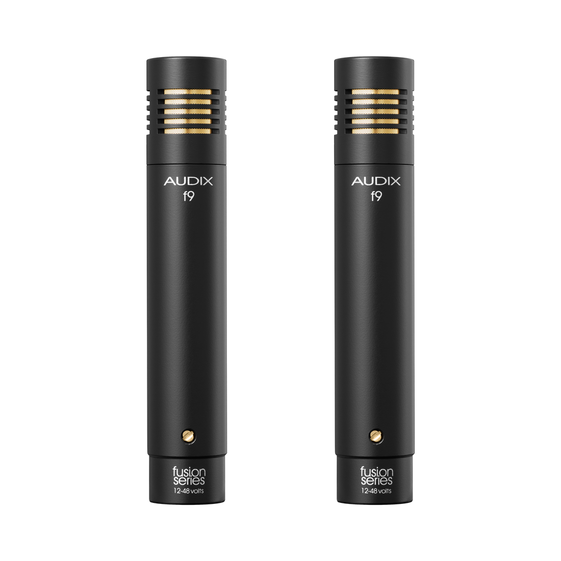 FP7 – AUDIX