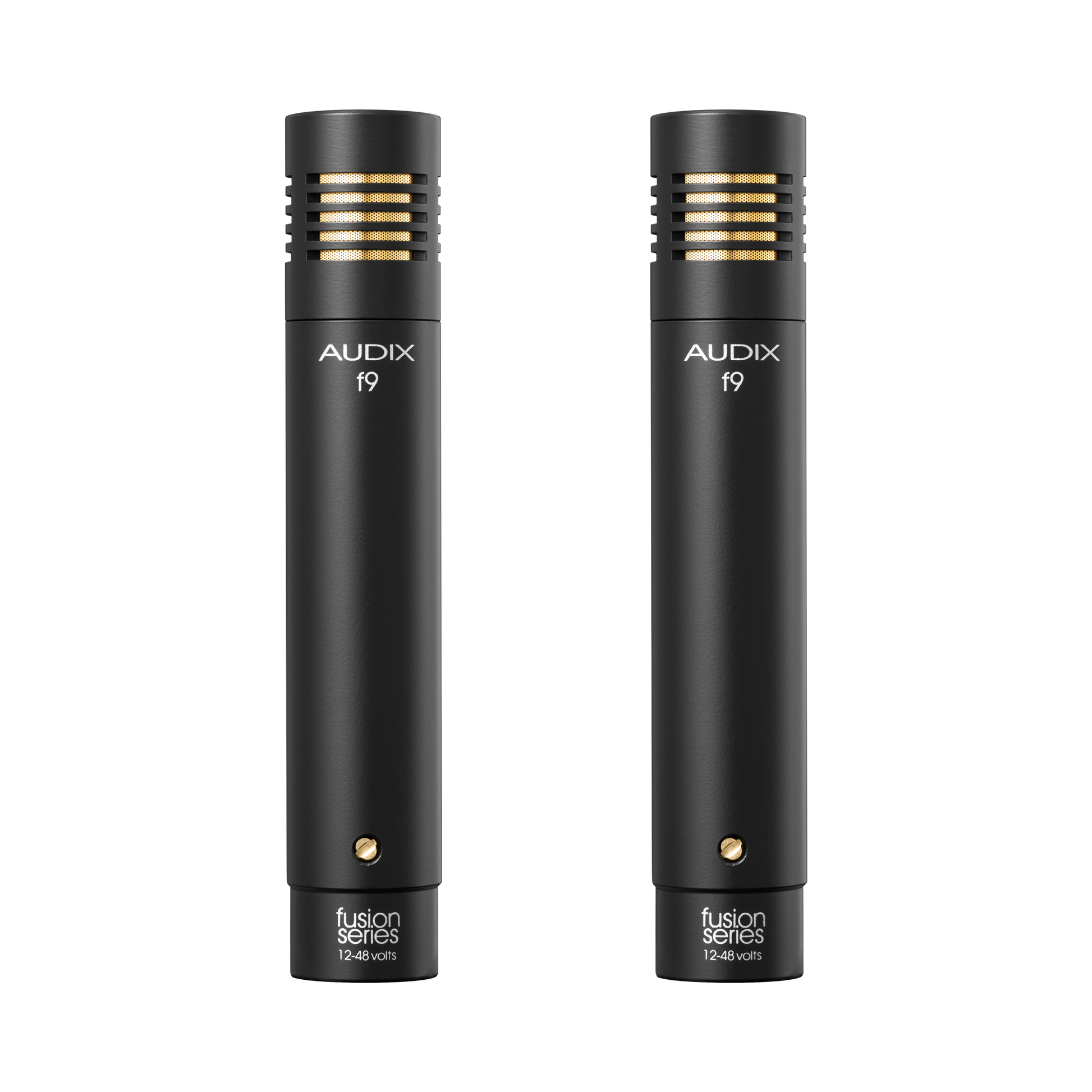 FP7 – AUDIX