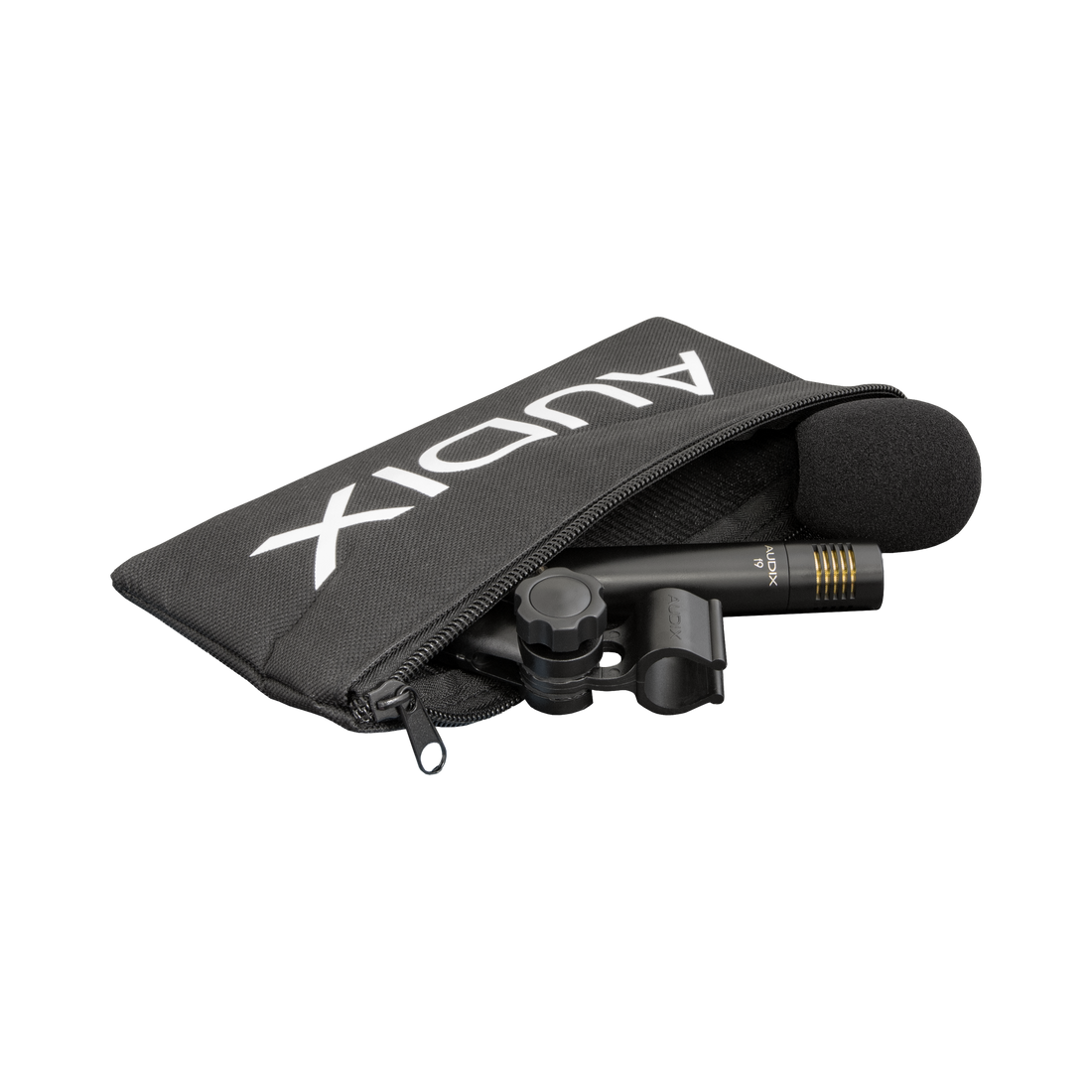 F9 – AUDIX